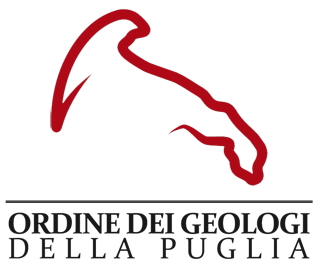 Co-organizzazione
