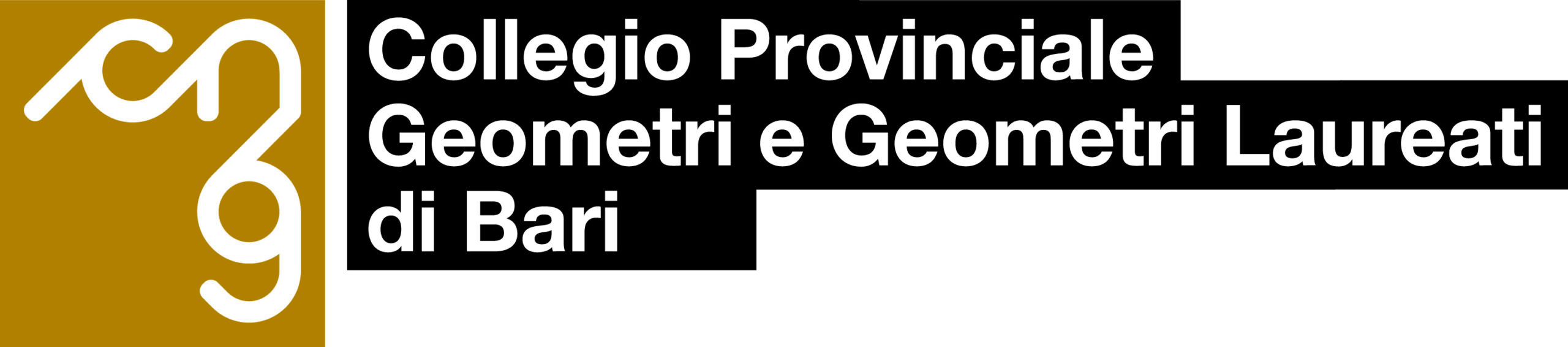 Co-organizzazione
